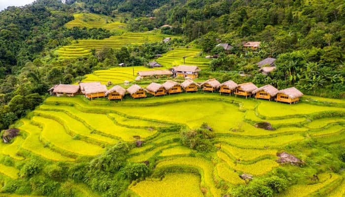 hoang su phi